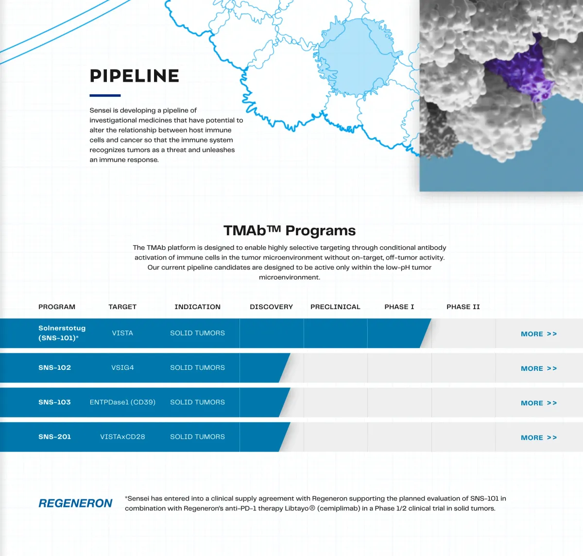 Sensei Biotherapeutics Gets Wall Street Backing as PIKTOR Advances in Breast & Endometrial Cancer