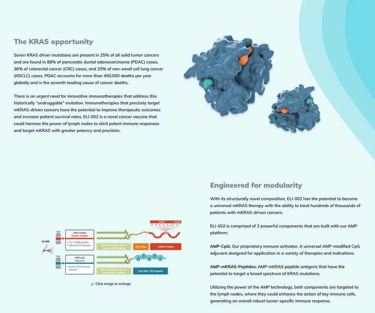Elicio Reports Multiple Complete Responses in Metastatic Pancreatic Cancer After ELI-002 7P and Checkpoint Inhibitor Therapy