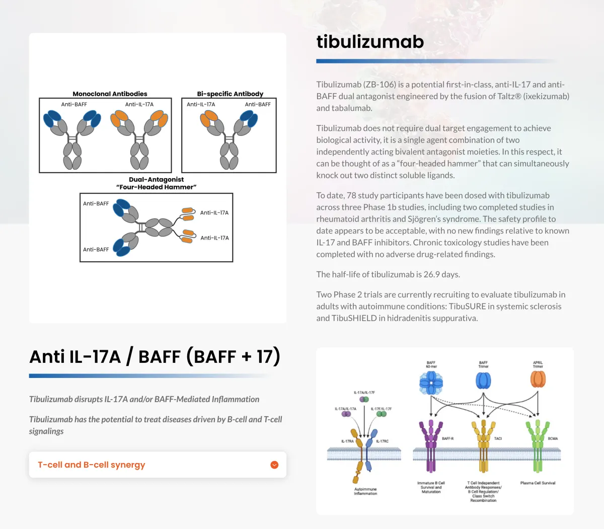 William Blair Initiates Outperform Coverage on Zura Bio, Citing Strong Potential for Tibulizumab