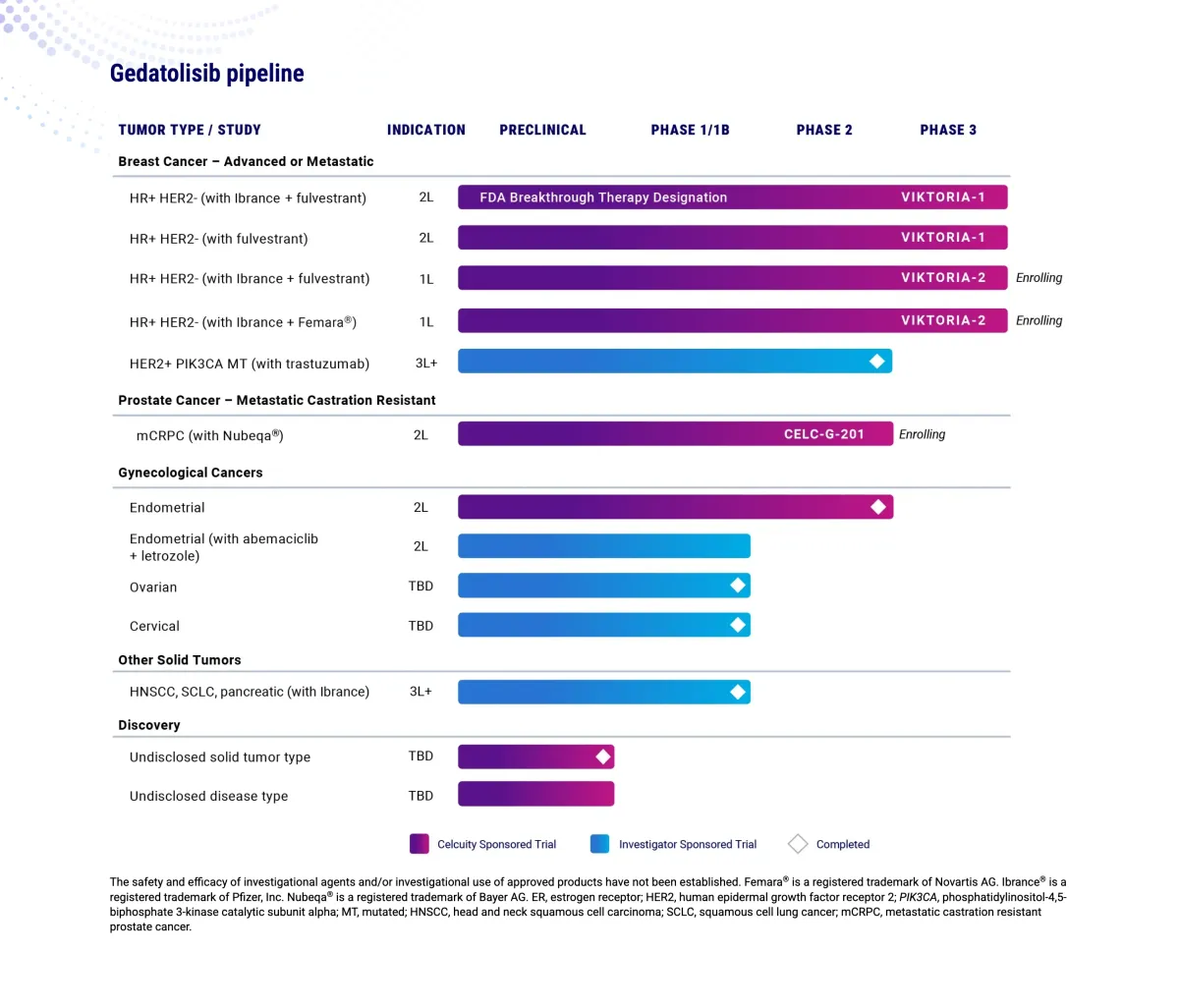 Celcuity’s Revtorpyk Gets FDA Nod, Delivering Strong Results in PIK3CA Wild-Type Breast Cancer