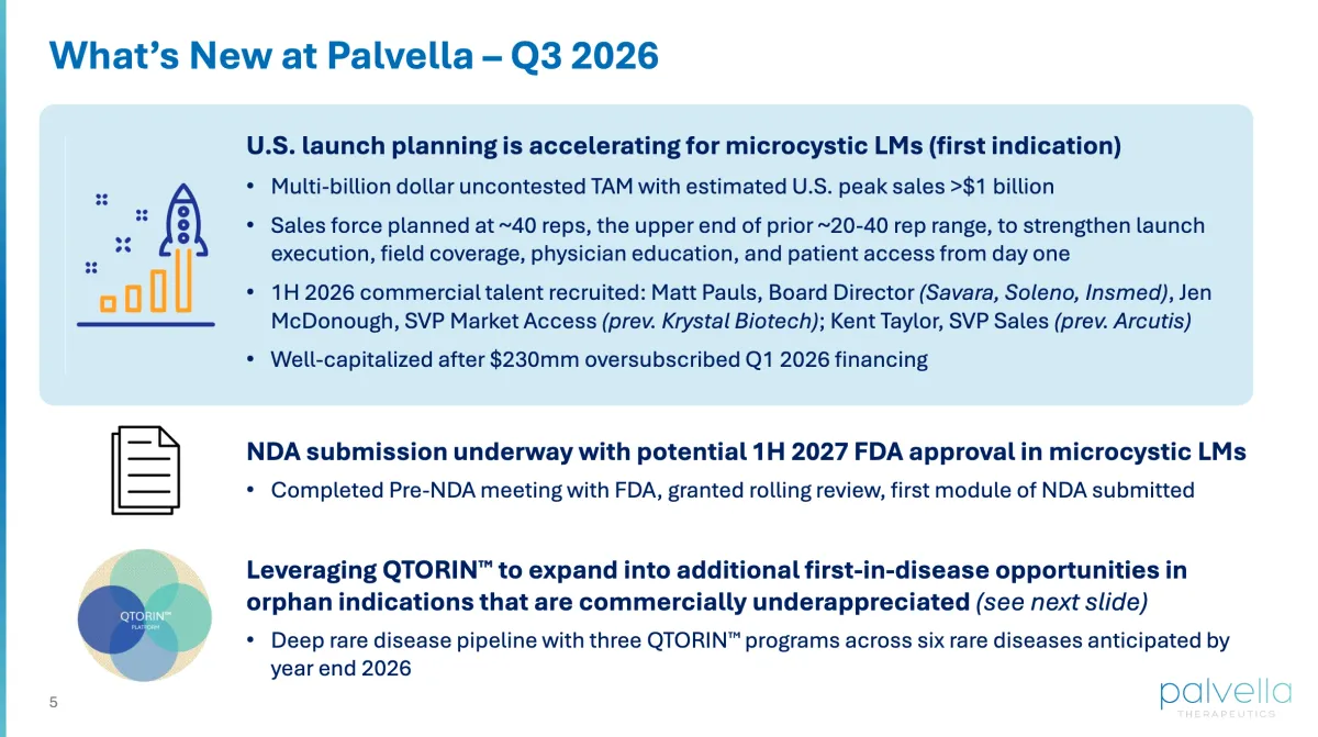 BTIG Calls Palvella’s 21% FDA-Driven Drop a Buying Opportunity