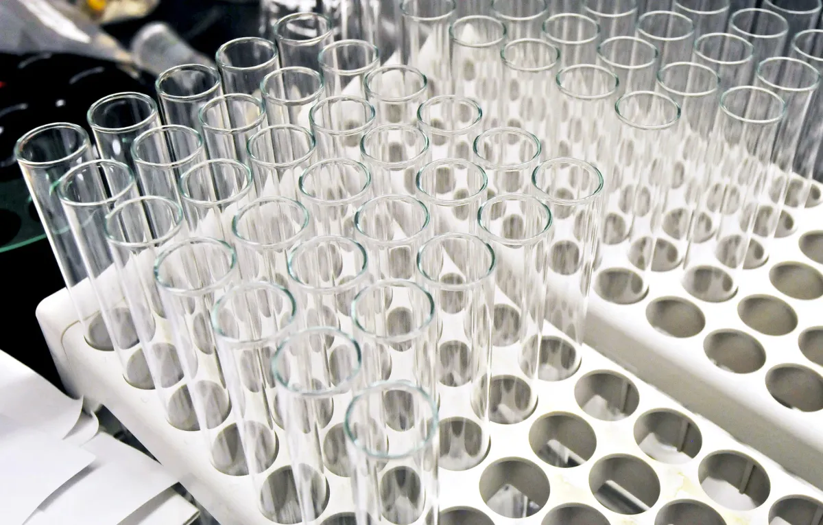 Wolfe Research Upgrades Madrigal to Outperform: Sees “Rare Opportunity” After Overdone Sell-Off
