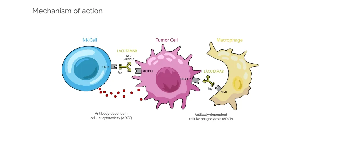 Innate Pharma Partners with Sobi to Advance Lacutamab into Phase 3 for Rare T-Cell Lymphoma