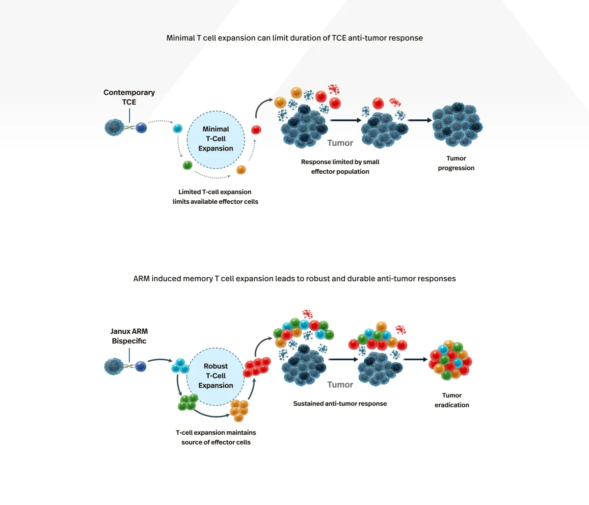 Wolfe Research Upgrades Janux Therapeutics to Outperform on Upcoming Autoimmune Data