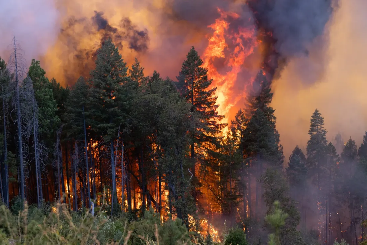 California Utility Stocks Rise After Lawmakers Kill Wildfire Liability Bill