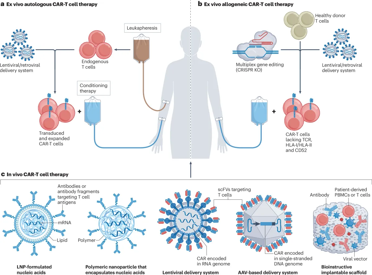 Tempest Adds Second In-Vivo CAR-T Approach with Senlang Deal