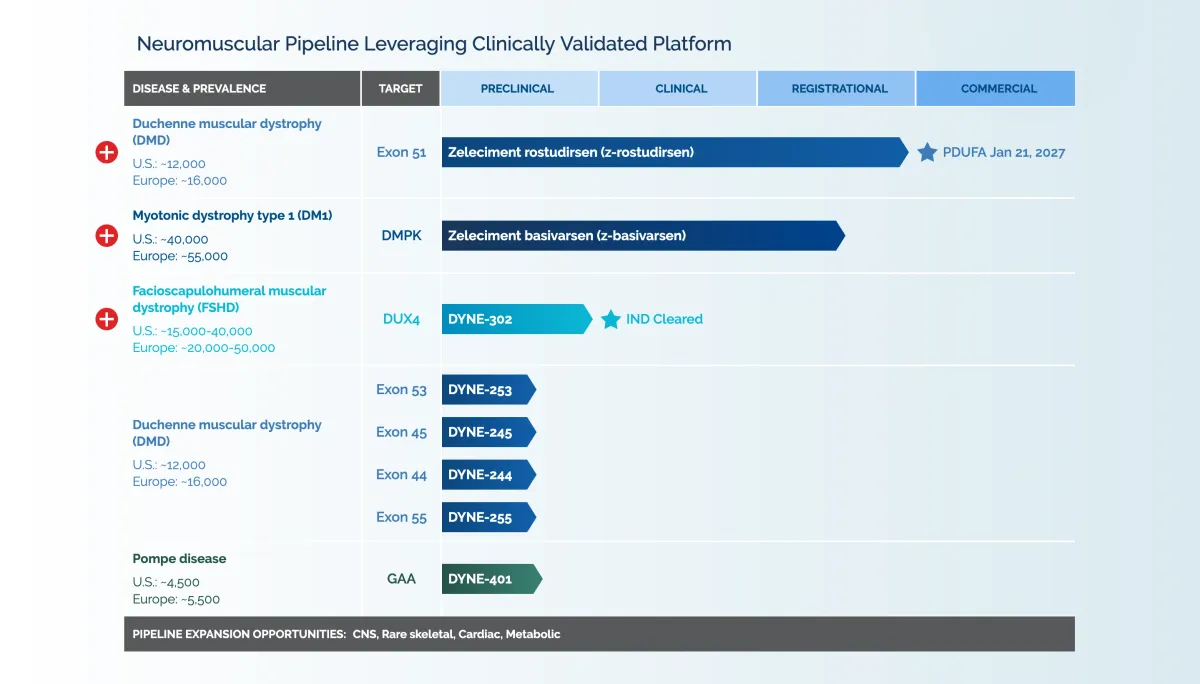 Novartis Failure Raises Questions for Dyne’s 2027 DM1 Readout