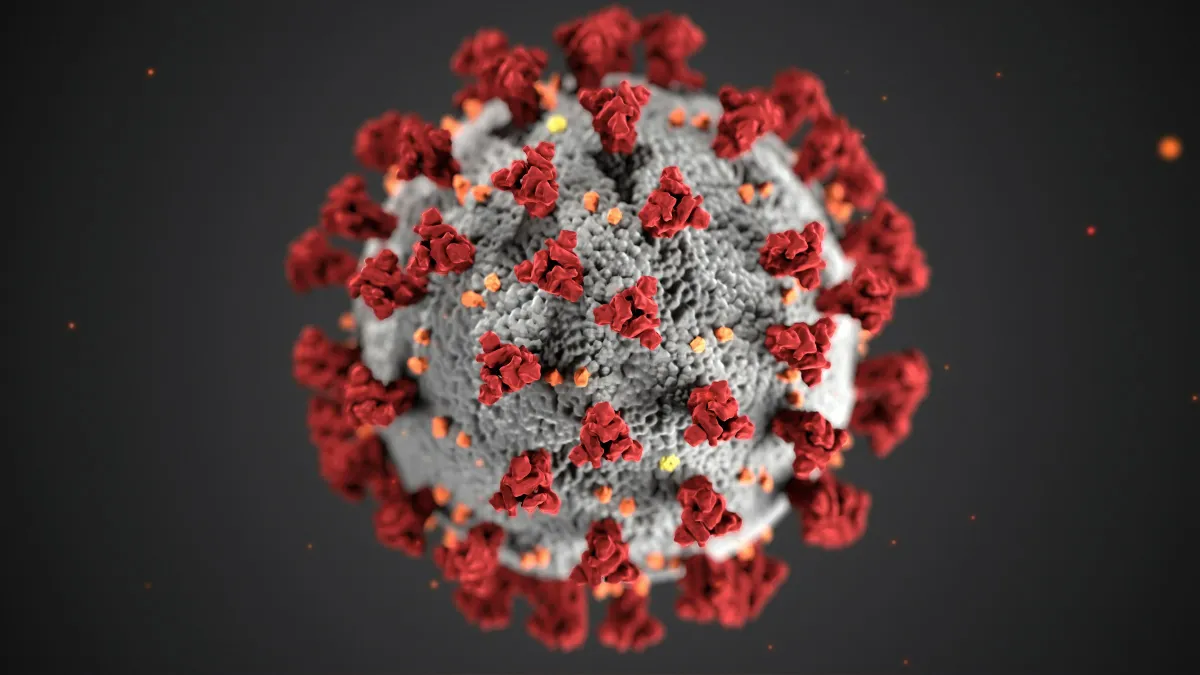 BioVie Shares Fall After Mixed Phase 2 Long COVID Results for Bezisterim