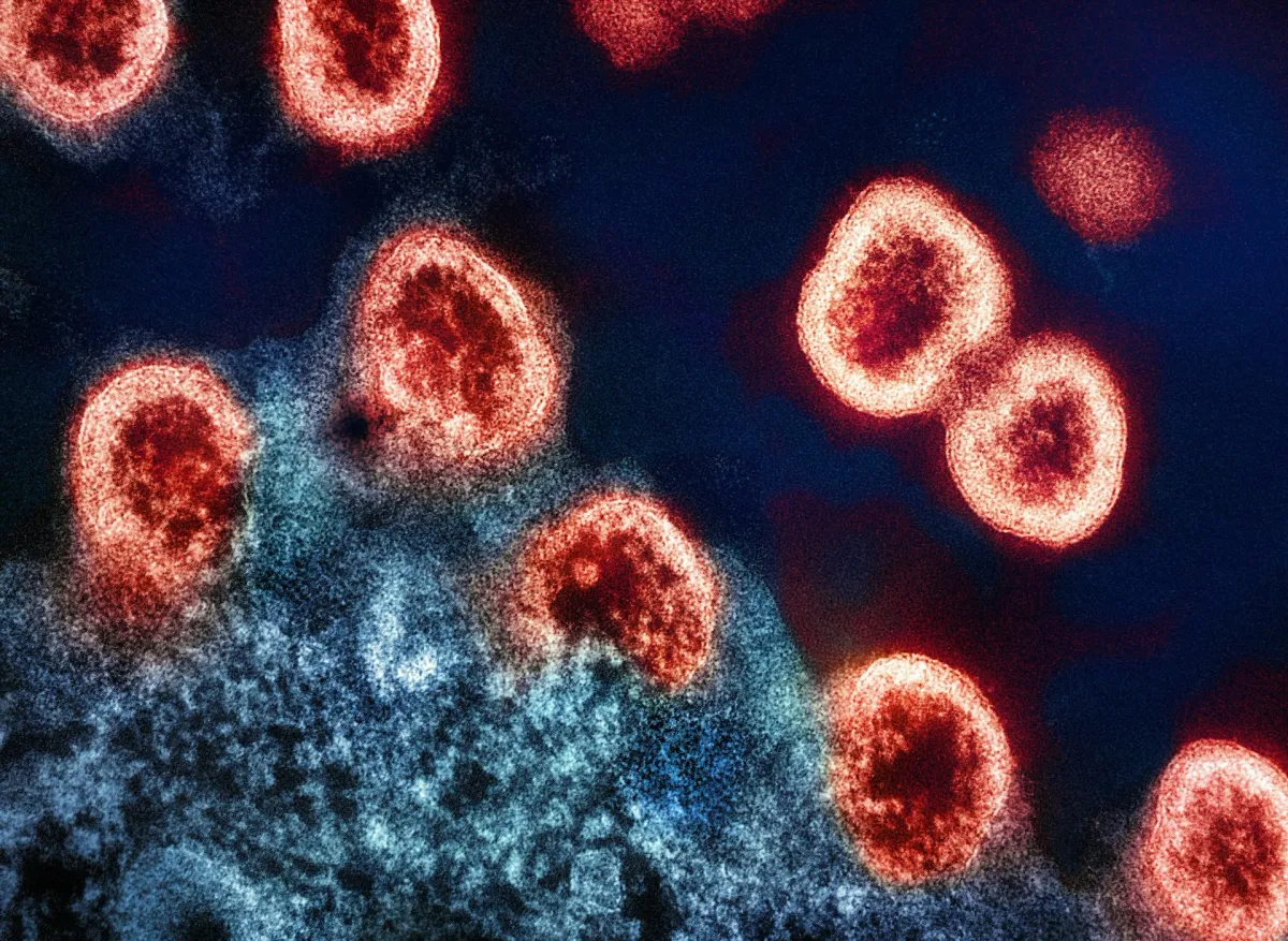 GSK Buys Experimental Multiple Myeloma Drug from Chimagen
