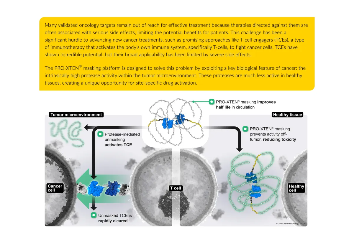 Vir CEO Sees Chance for More Deals After $1.9B Gilead Pact for Dual-Masked T-Cell Engagers