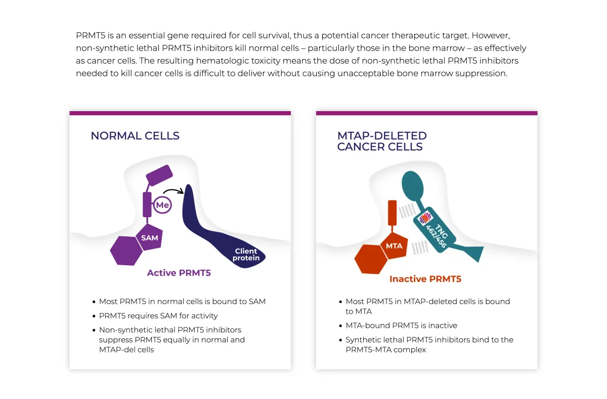 Strong ESMO Data Fail to Lift Tango Therapeutics as Investors Sell the News